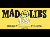 Iain-Armitage-review-Mad-Libs-Live-Robin-Rothstein